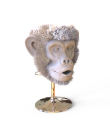 POILU